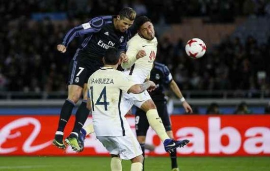 育的骄子 育的骄子